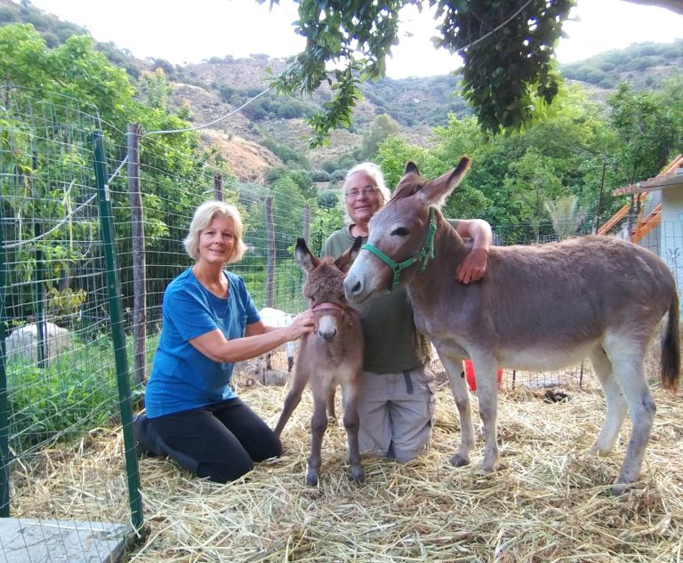Intervista a Barbara Palermo per Tornare in Sicilia