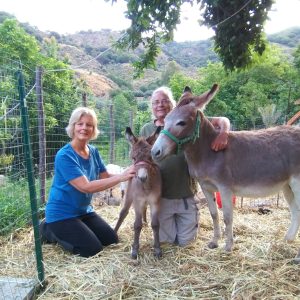 Intervista a Barbara Palermo per Tornare in Sicilia